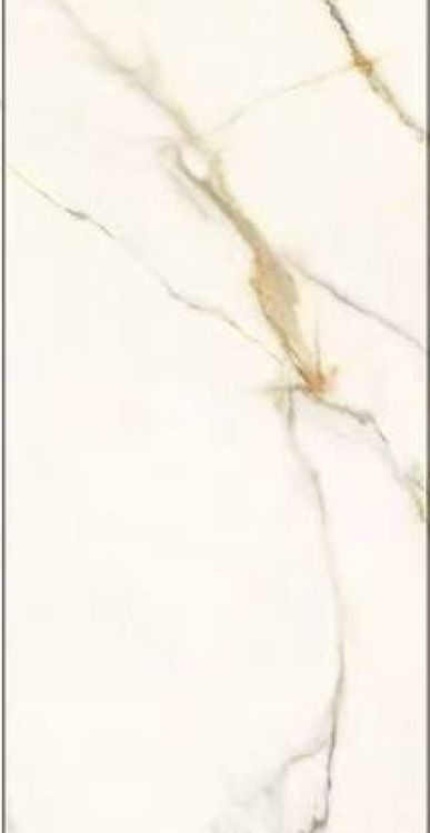 Time Dorado Polished 12 x 24